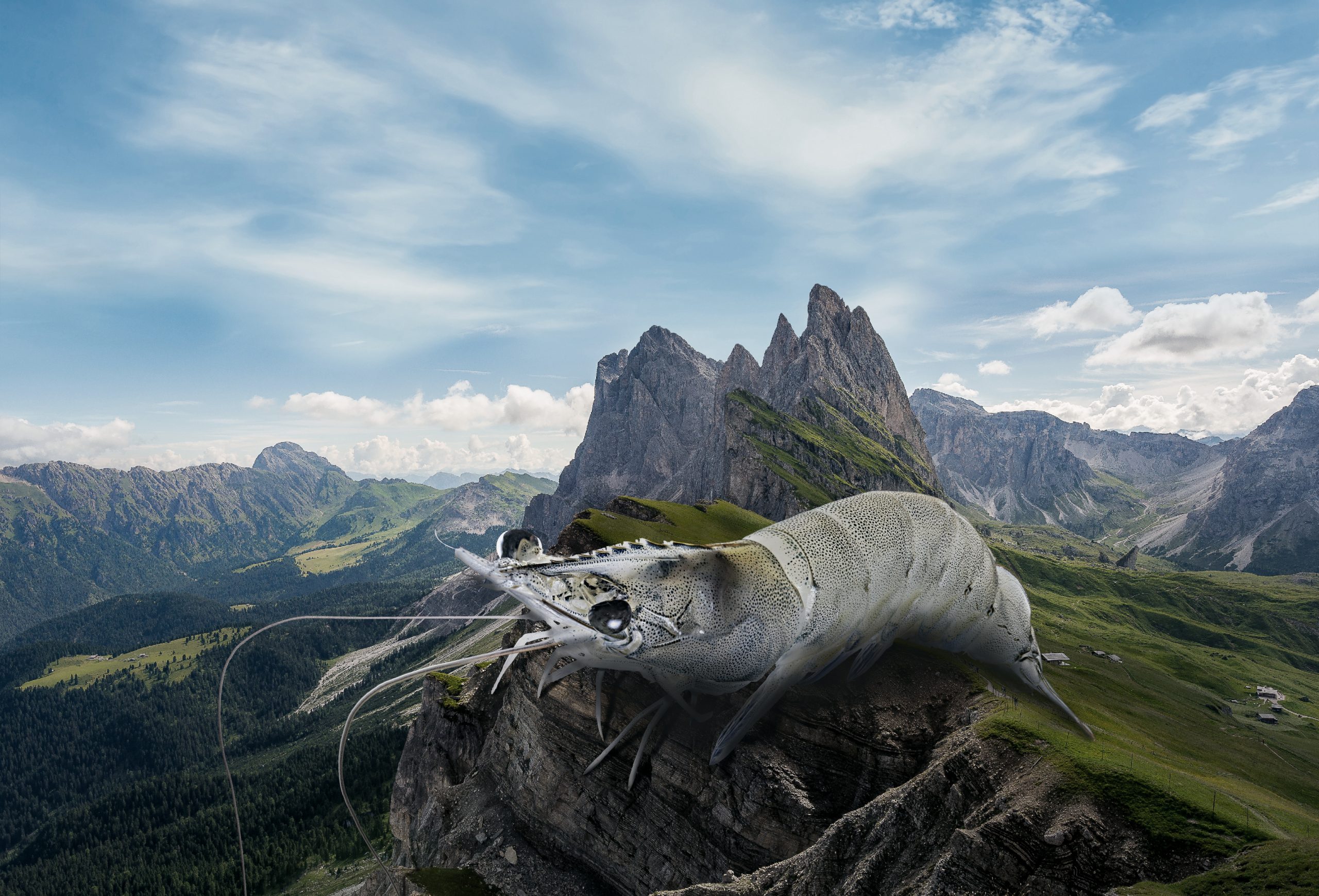 Vorschau – Alpenaquafarm Tirol