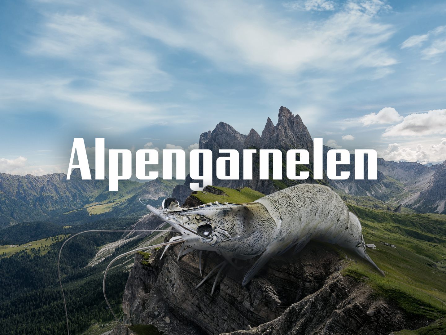 Alpenaquafarm Tirol – frische Alpengarnelen aus nachhaltiger Aufzucht